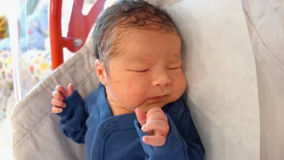 Mikuláš